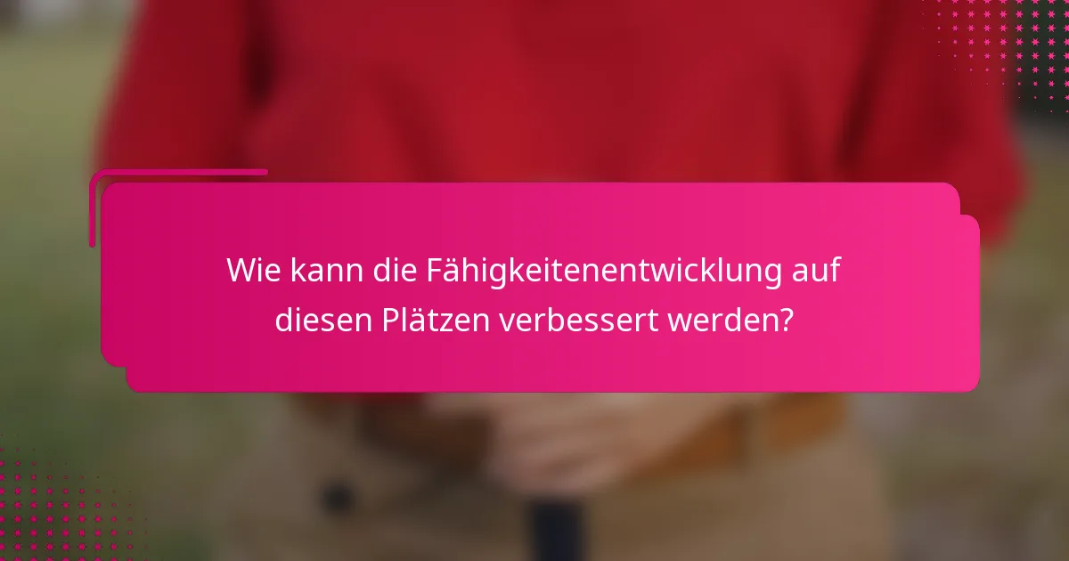 Wie kann die Fähigkeitenentwicklung auf diesen Plätzen verbessert werden?